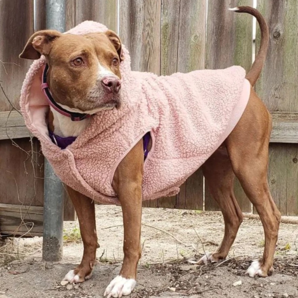 Pink Sherpa Dog Jacket / Coat